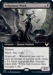 Sedgemoor Witch - Extended Art