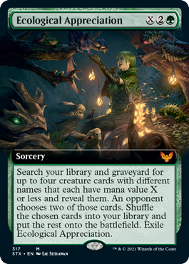 Ecological Appreciation - Extended Art