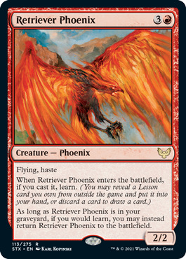 Retriever Phoenix