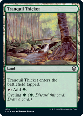 Tranquil Thicket