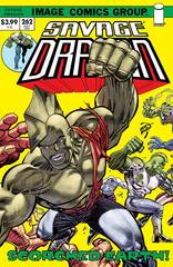 Savage Dragon #262 Cvr B Retro 70S Trade Dress (MR) (STL191817)