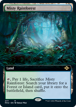 Misty Rainforest - Extended Art