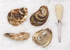 Oysters, Malpeques (PEI)