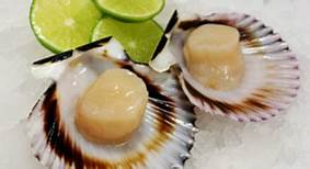 Half Shell Peru Scallop