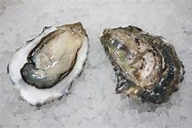 Fanny Bay Oysters
