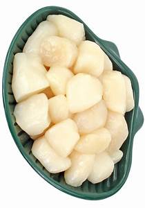 Bay Scallops