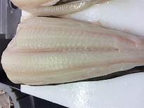 Halibut