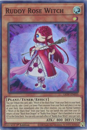 Ruddy Rose Witch - LIOV-EN010 - Super Rare - 1st Edition