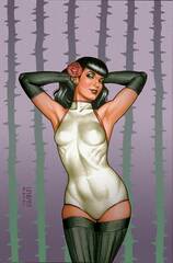 Bettie Page & Curse Of The Banshee #3 Cvr M Linsner Ltd Virgin (STL195941)