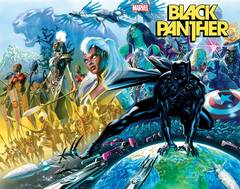Black Panther #1 (STL194292)