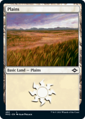 Plains (482) - Foil Etched