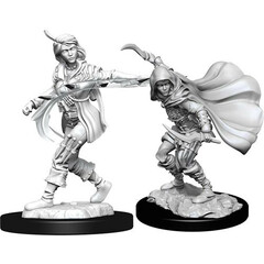 Pathfinder Deep Cuts Unpainted Miniatures: W14 Human Rogue Female