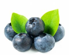 Huckleberry