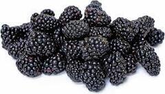 Marionberry