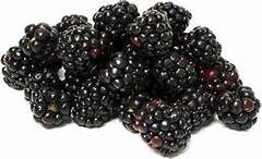 Organic Blackberry