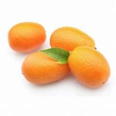 Organic Kumquat