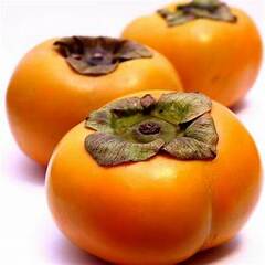 Organic Persimmon