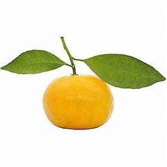 Organic Tangerine