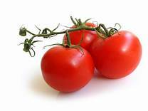 Organic Tomato