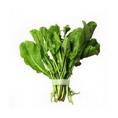 Organic Arugula