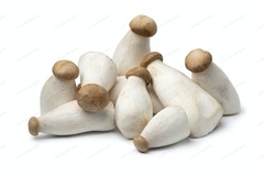 Organic Baby Oyster Mushrooms