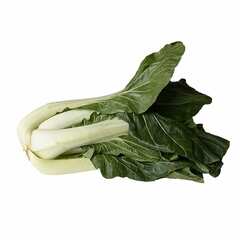 Organic Bok Choy