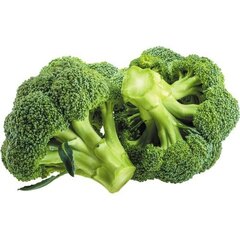 Organic Broccoli