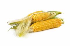 Organic Corn