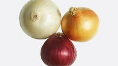 Onion