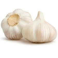 Organic Garlic