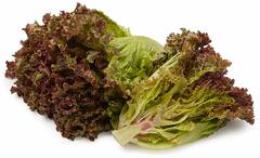 Organic Red Leaf Lettuce