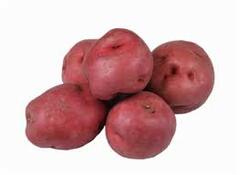 Organic Red Potato