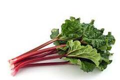 Organic Rhubarb