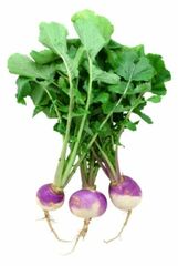 Organic Turnip