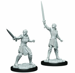 Critical Role Minis - Human Dwendalian Empire Fighter (Wave 1)