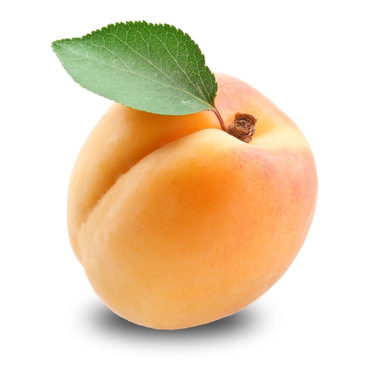 Apricot
