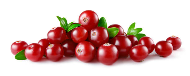 Cranberry