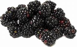 Organic Blackberry