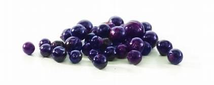 Organic Blackcurrant