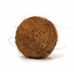 Organic Coconut