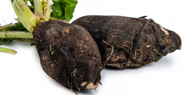Organic Black Radish