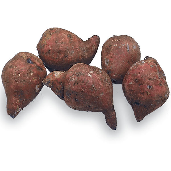 Organic Boniato