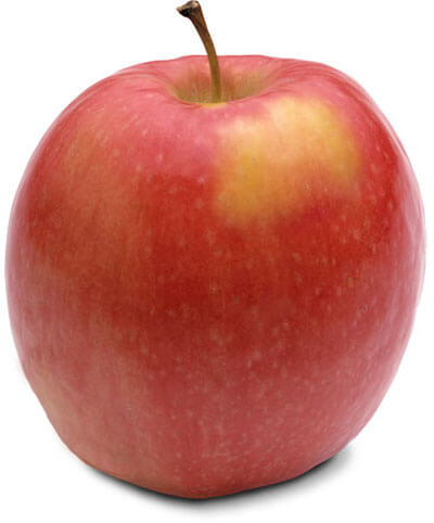 Pink Lady (Cripps Pink cv.)