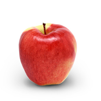 Ambrosia