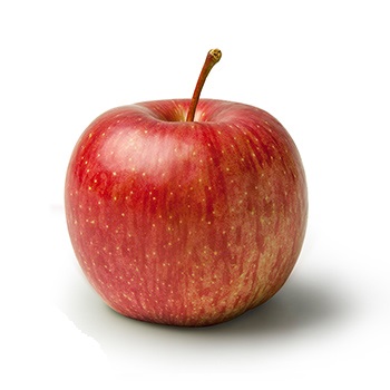 Kiku
