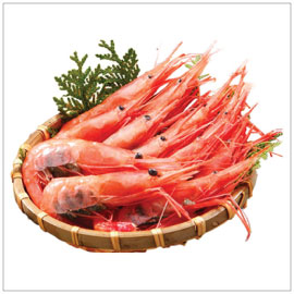 Wild Super Sweet Shrimp