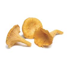 Chanterelle Mushroom