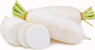 Daikon Radish