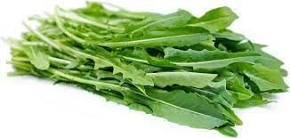 Dandelion Greens
