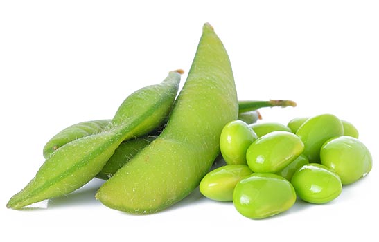 Green Soybeans